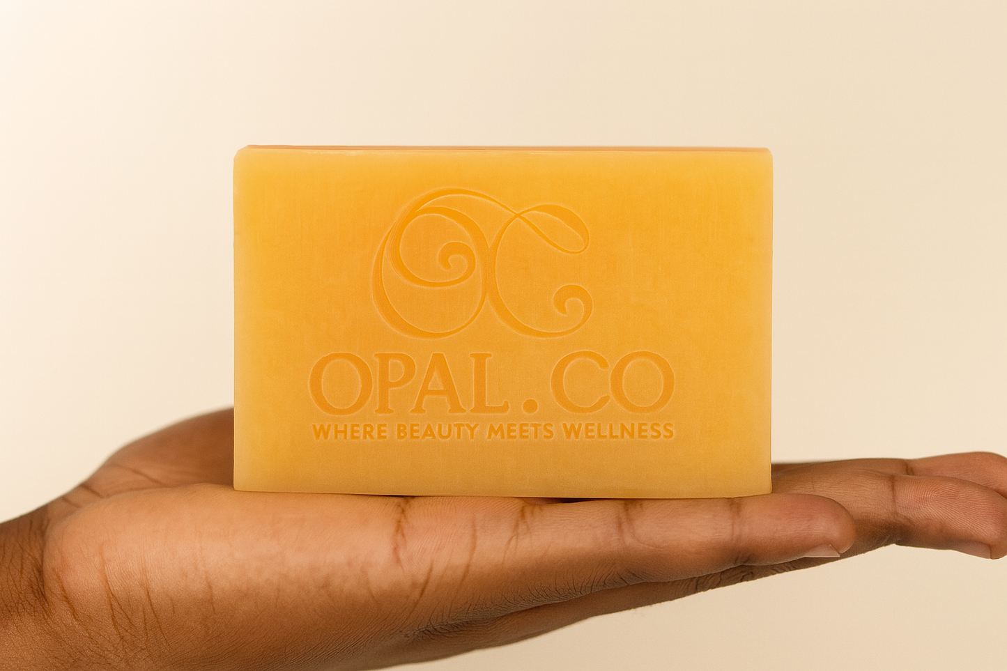 Brightening & Clarifying Soap + Face Sponge